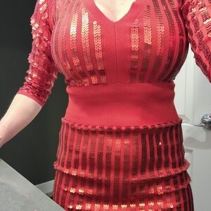 Fitted sequin sweater dress